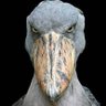 Profilbild von BL∆CKSMiTH