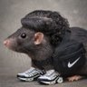 Rat2cité's profile picture
