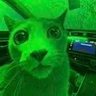 Фото профиля GreenCat