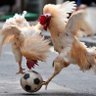 F profil fotoğrafı