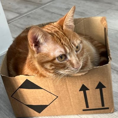 rororeviens's profile picture