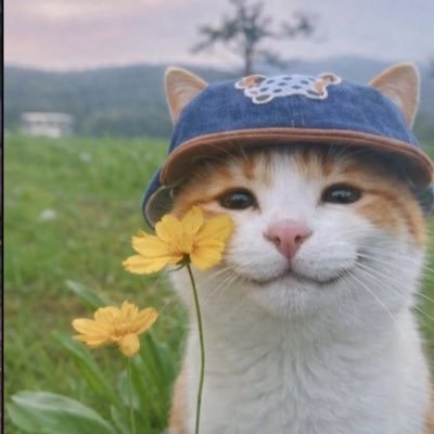 meepmonkmw's profile picture