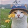 Profilbild von meepmonkmw