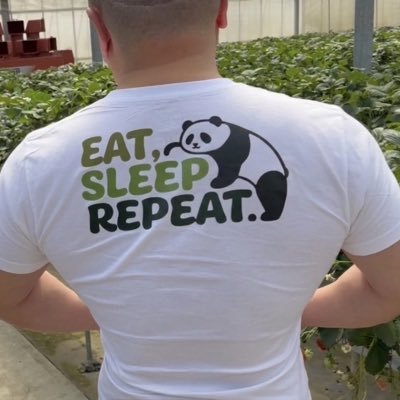 けんけん's profile picture