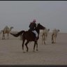 بهلول 的头像
