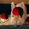 Profilbild von Sooper Silly Bread :3