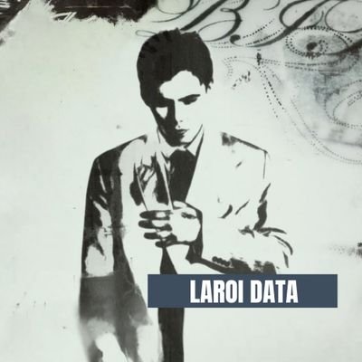 LAROI Data's profile picture