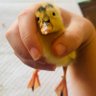 Profilbild von Ducky the Duckling