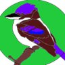 Profilbild von The Kookaburra