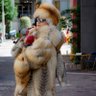 孫大人である!ワシは福岡市外国人オタク塾塾長's profile picture