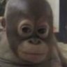 2563876555gerd's profile picture