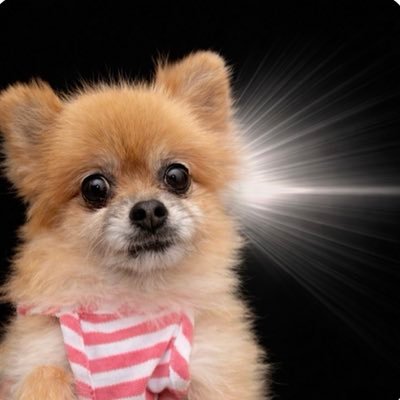 siawasehontono1's profile picture