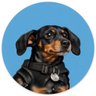 Profilbild von CryptoRyze