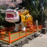 紅円 profil fotoğrafı
