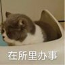 双拼推友 profil fotoğrafı