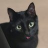 marie ♡ profil fotoğrafı