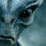 Profilbild von MASS Alien Destruction