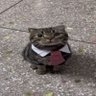 sam's profile picture