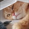 Martha is me. profil fotoğrafı
