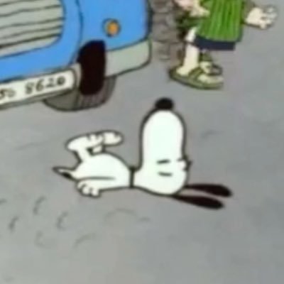 sho .ᐟ's profile picture