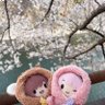 プリ☕️ 的头像