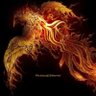 Фото профиля The Calm Warrior
