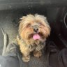 Goyo González's profile picture