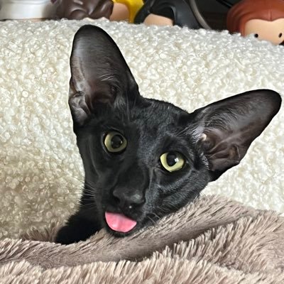 Підозріла Активність's profile picture