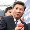 Profilbild von 习近平