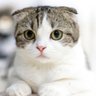Фото профиля itakida