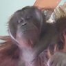 リュウト🐾🐾 profil fotoğrafı