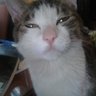 Profilbild von 덕질덕질