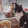 Profilbild von Cool Cat