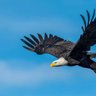 M Patriot profil fotoğrafı