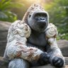 Vanilla Gorilla's profile picture