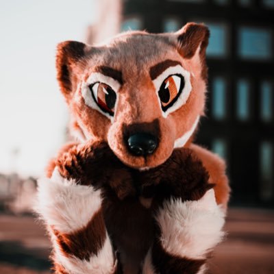 Kippefir🔜AC,MP,ASC,Howloween's profile picture