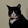 Profilbild von Beldre