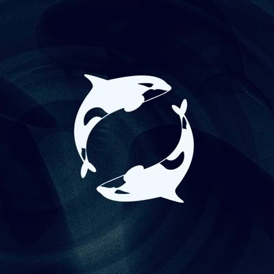 OrcaNets's profile picture