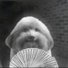 M's profile picture