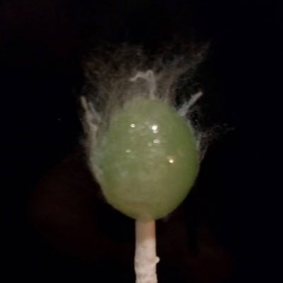 Shaun's profile picture