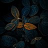 Фото профиля mans