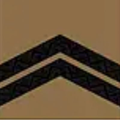 Онук Бандери's profile picture