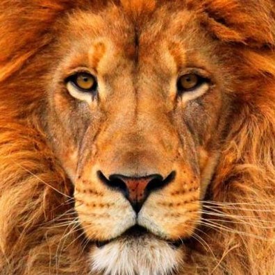 Leo Miller / longa's profile picture