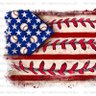 Brads Republic 🇺🇸 ⚾️ 🇺🇸 的头像