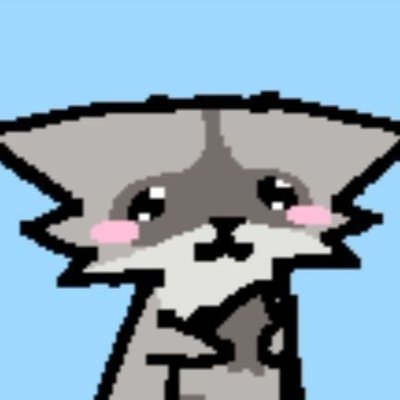 Why you should have a Raccoon's profile picture