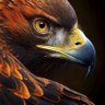 alaa eldeen's profile picture