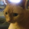 Jonathan Dobson's profile picture