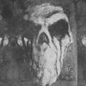 thesleepingorder's profile picture
