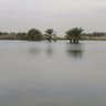 Фото профиля عراقي وبس