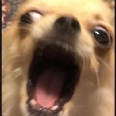 IamMpumiii's profile picture